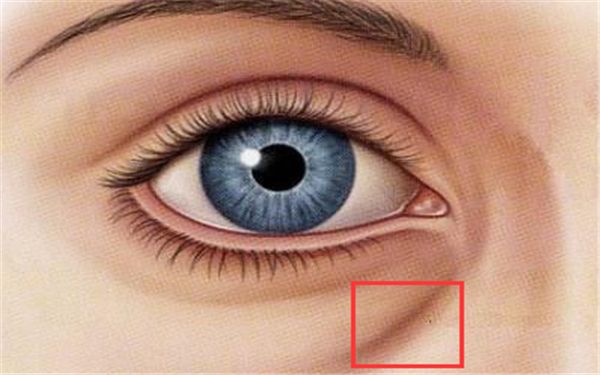 上海哪家醫(yī)院做雙眼皮好？楊嫻嫻的雙眼皮手術是否值得推薦？點擊查看價格表！