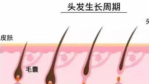 徐州市中心醫(yī)院整形美容科的醫(yī)生介紹及鼻子手術費用如何？