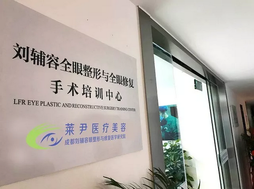 成都劉輔容眼整形與修復醫(yī)學研究所 成都劉輔容眼整形與修復醫(yī)學研究所