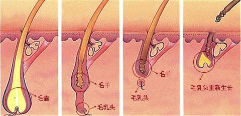 杭州最受歡迎的整形醫(yī)院盤點：維多利亞第一，華研、美立方在榜！