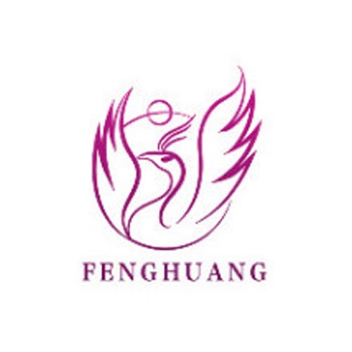 山西大同鳳凰醫(yī)學整形美容
