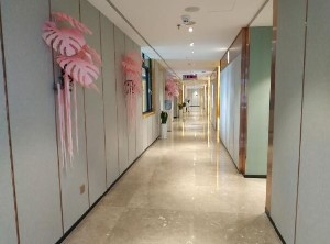 保定藍山醫(yī)療美容醫(yī)院做小腿吸脂怎么樣？