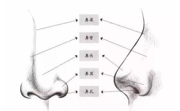 箭鼻矯正須知【成因、適宜人群、禁忌癥、手術(shù)原理、術(shù)前準(zhǔn)備、手術(shù)時(shí)間、恢復(fù)期】
